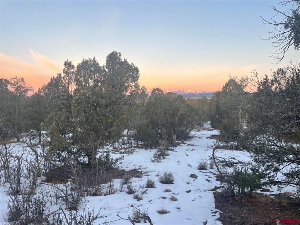 232 Rawhide Road Durango CO 81303