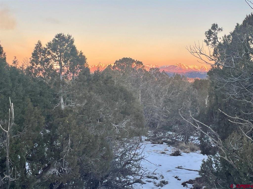 232 Rawhide Road Durango CO 81303