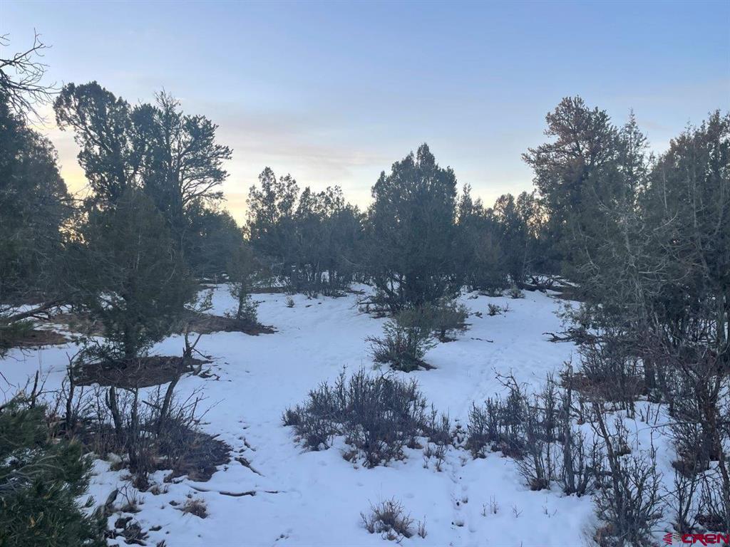 232 Rawhide Road Durango CO 81303
