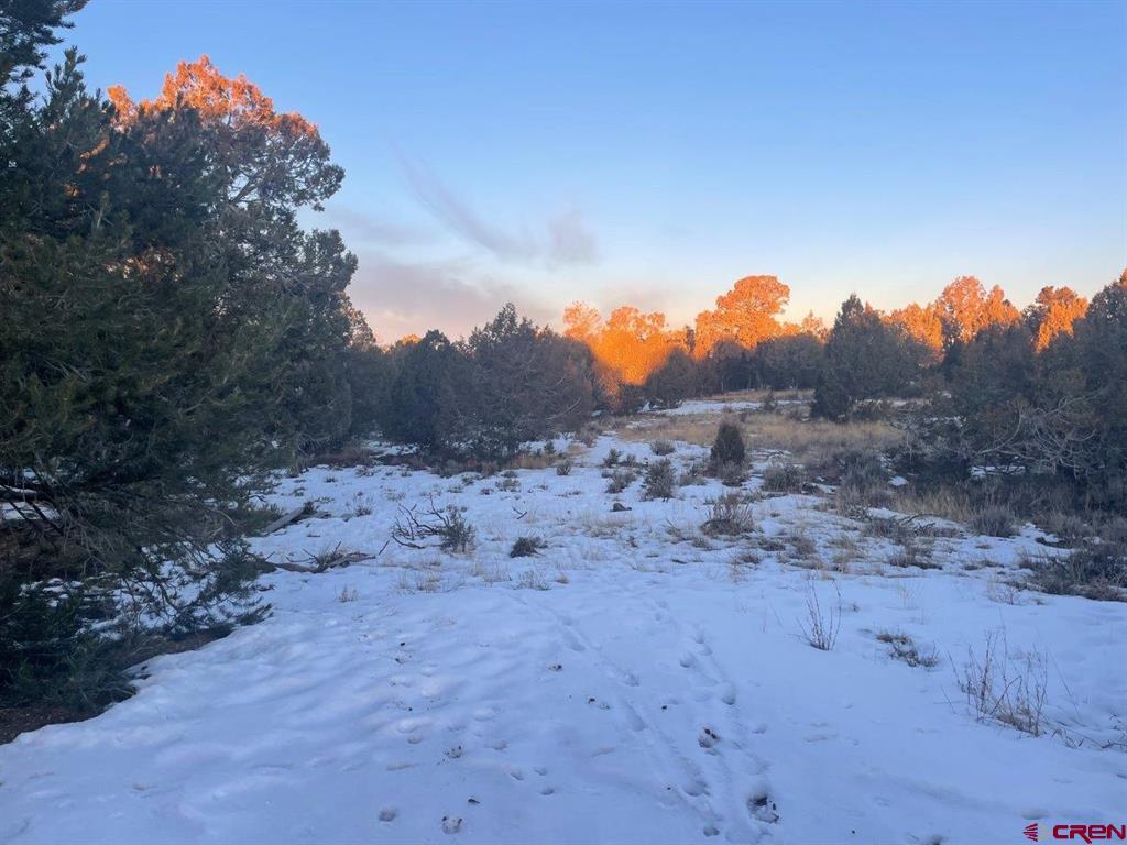 232 Rawhide Road Durango CO 81303
