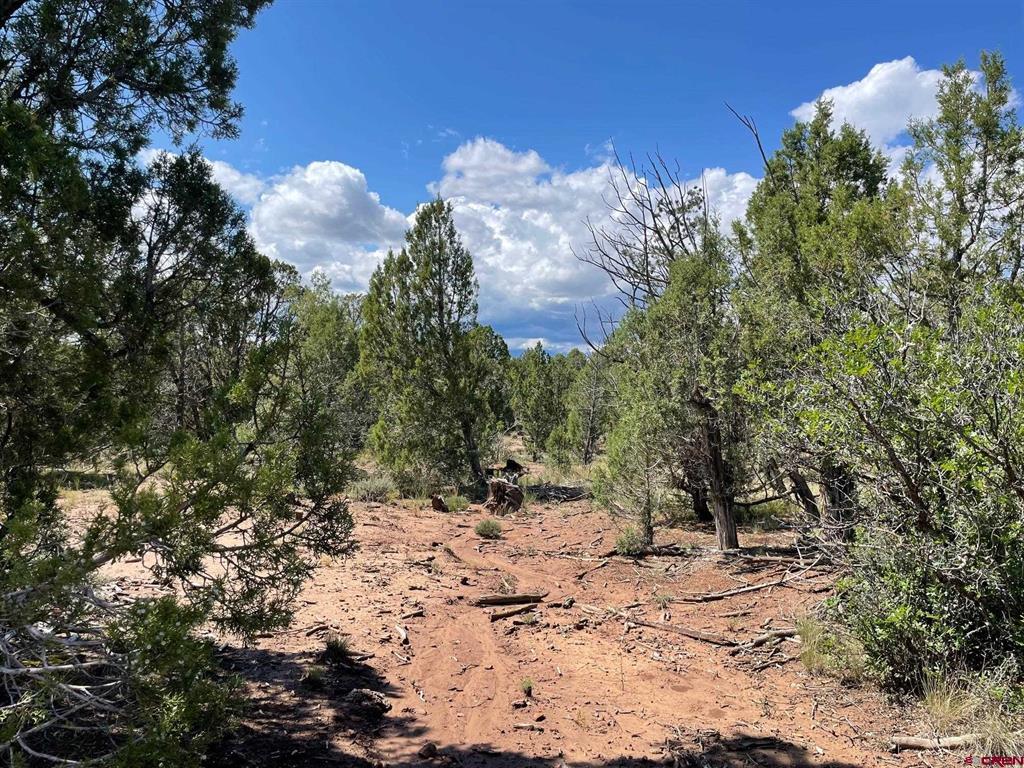 232 Rawhide Road Durango CO 81303