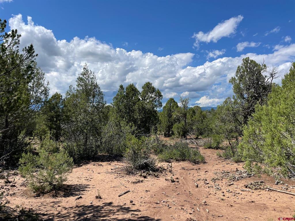 232 Rawhide Road Durango CO 81303