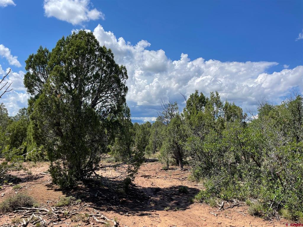 232 Rawhide Road Durango CO 81303