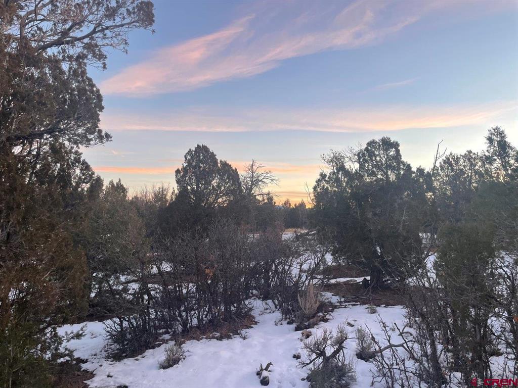 232 Rawhide Road Durango CO 81303