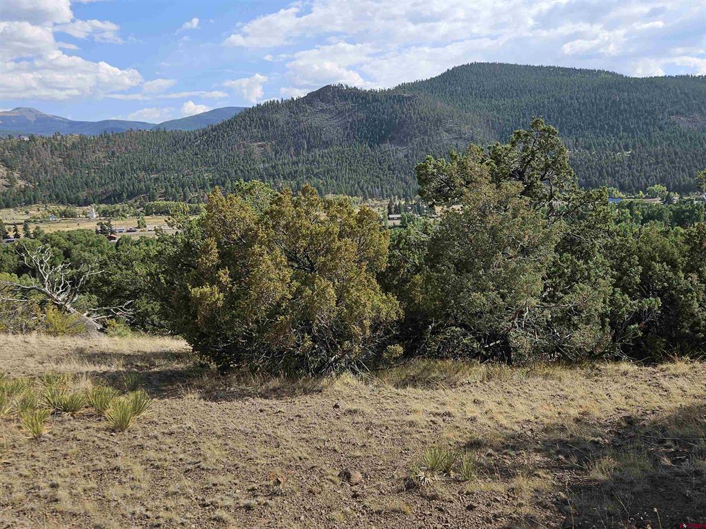 404 Vista De Verde Circle South Fork CO 81154