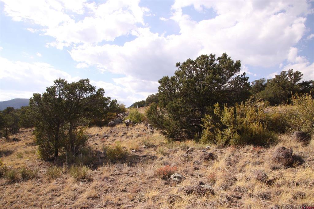 404 Vista De Verde Circle South Fork CO 81154