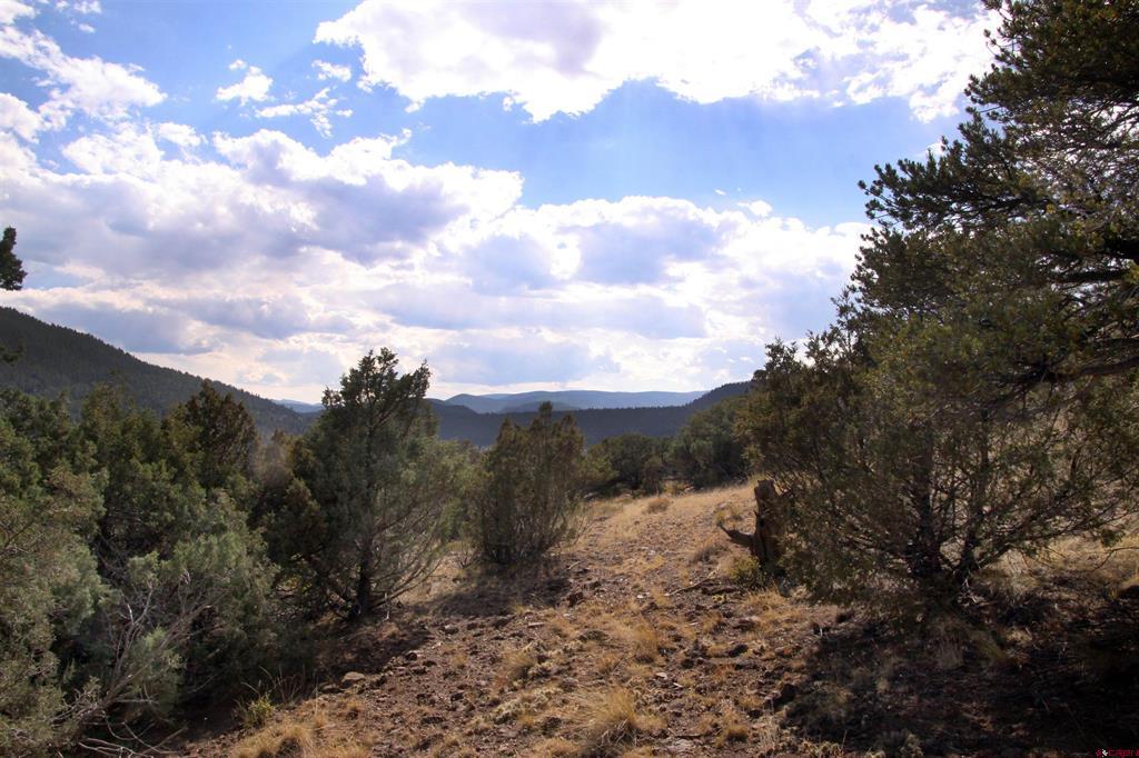 404 Vista De Verde Circle South Fork CO 81154
