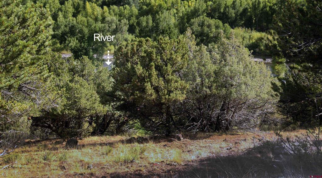 404 Vista De Verde Circle South Fork CO 81154