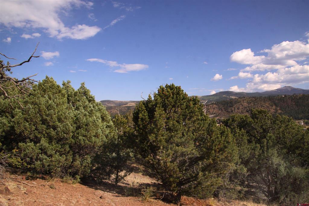 404 Vista De Verde Circle South Fork CO 81154