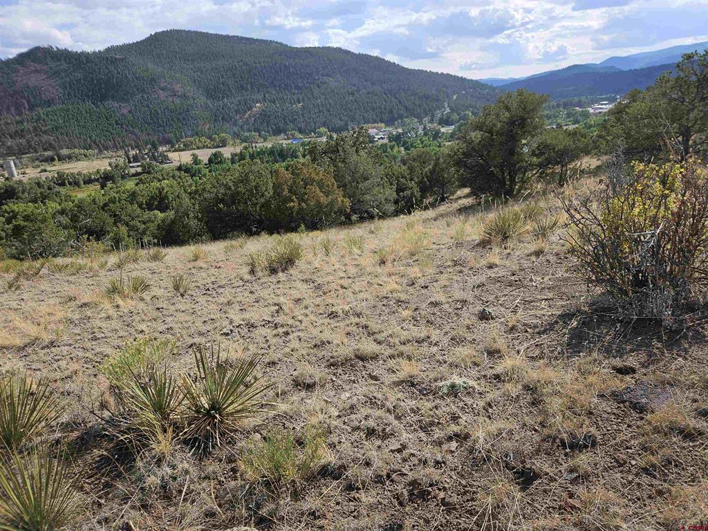 404 Vista De Verde Circle South Fork CO 81154