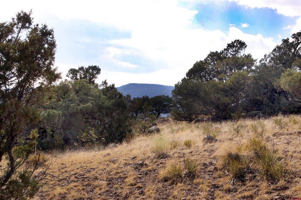 404 Vista De Verde Circle South Fork CO 81154