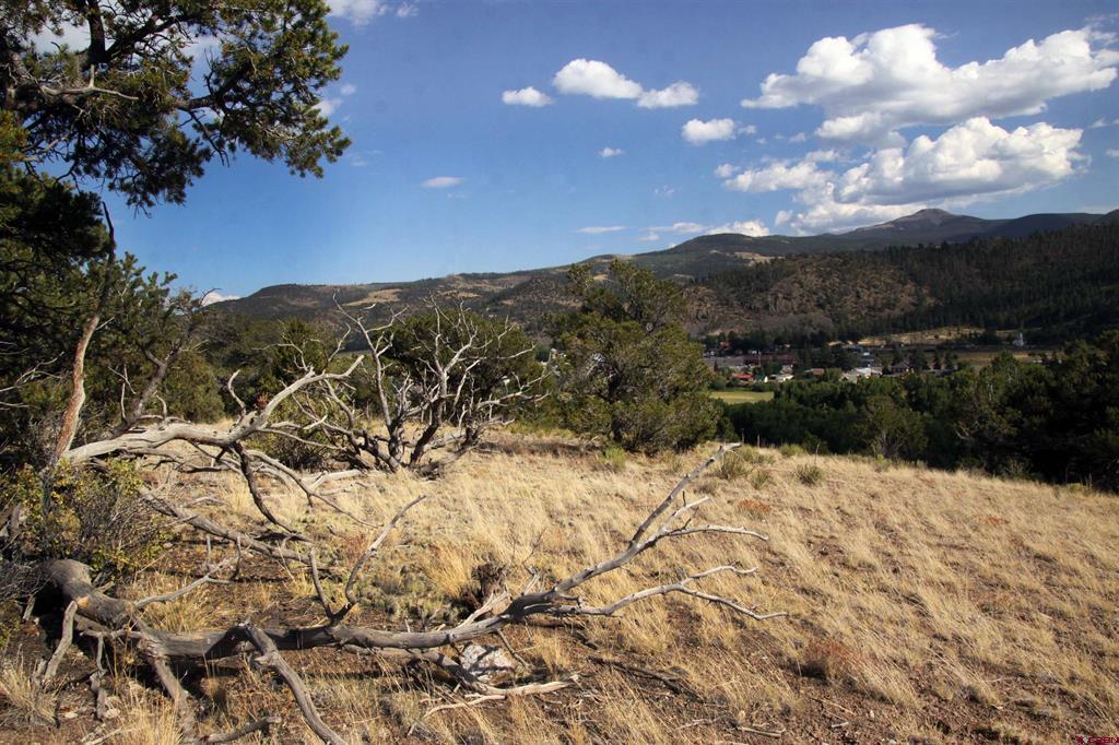 404 Vista De Verde Circle South Fork CO 81154