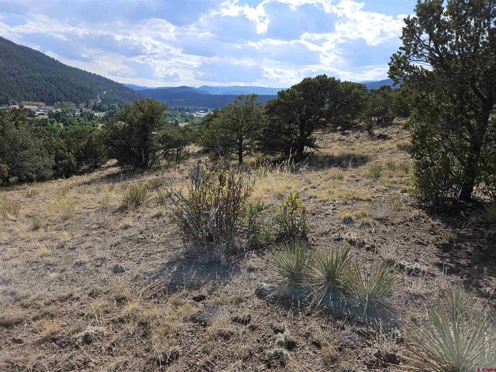404 Vista De Verde Circle South Fork CO 81154