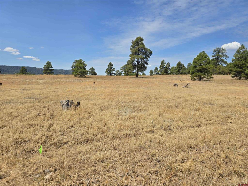 94 Greenway Drive Pagosa Springs CO 81147