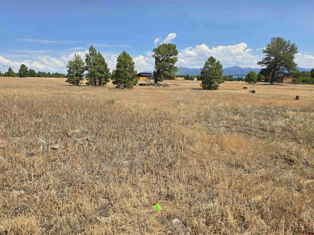 94 Greenway Drive Pagosa Springs CO 81147