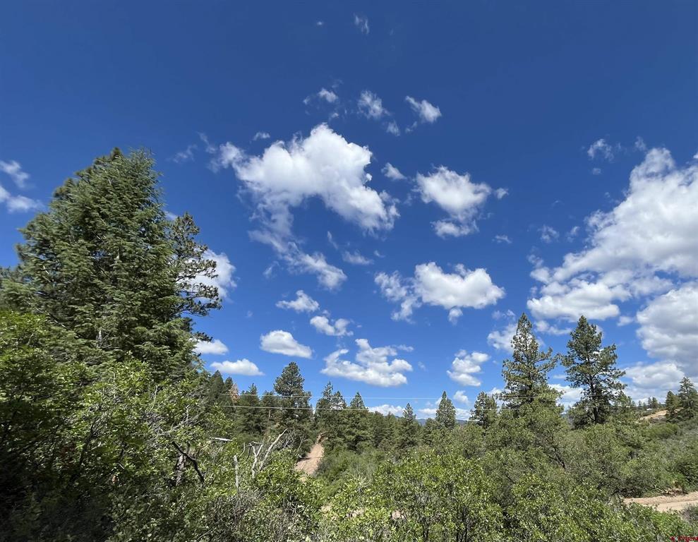 501 Echo Lane Pagosa Springs CO 81147