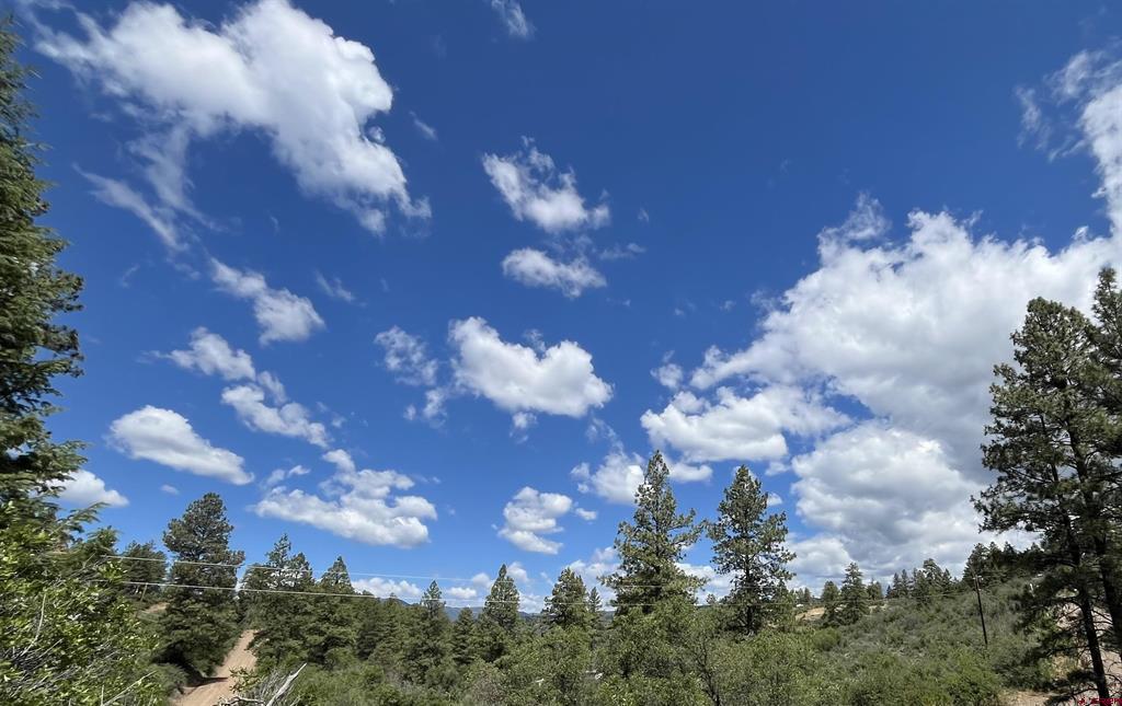 501 Echo Lane Pagosa Springs CO 81147