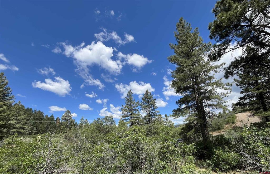501 Echo Lane Pagosa Springs CO 81147