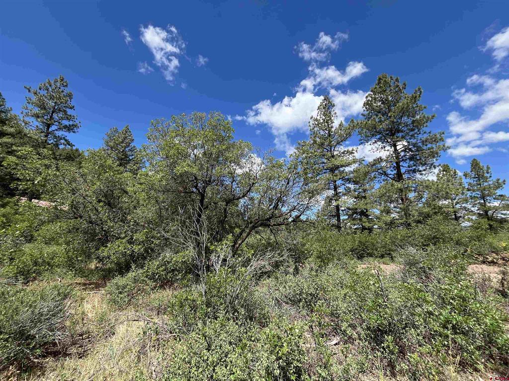501 Echo Lane Pagosa Springs CO 81147