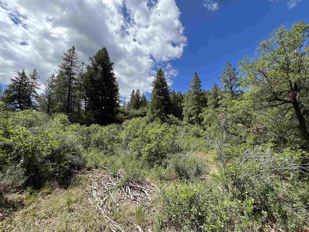 501 Echo Lane Pagosa Springs CO 81147