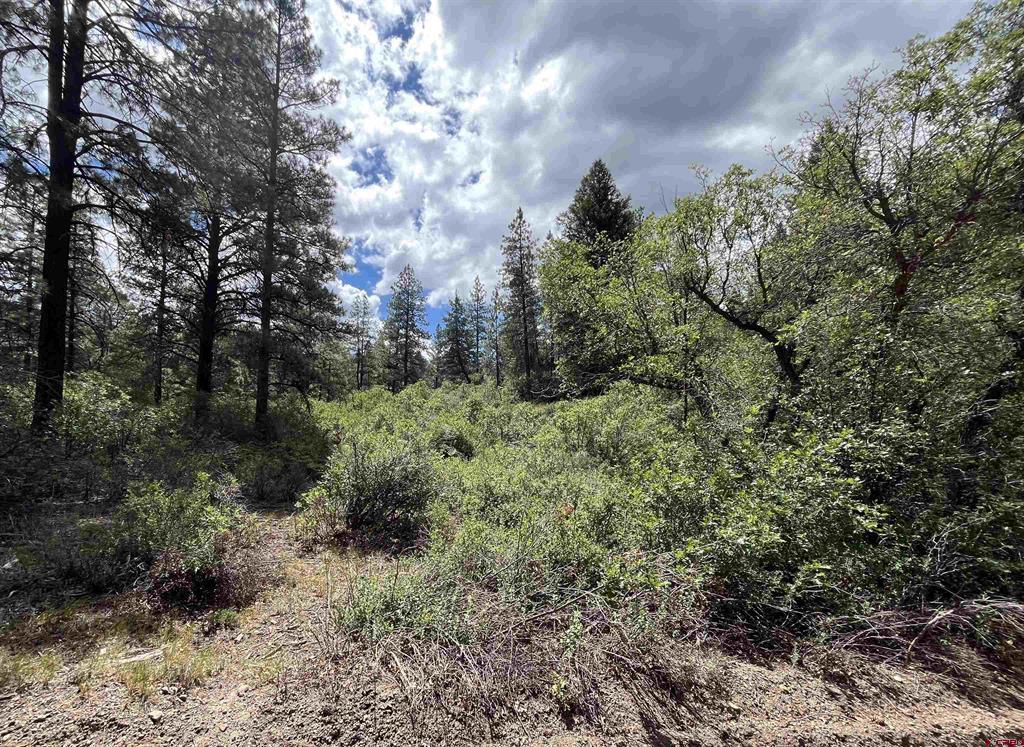 501 Echo Lane Pagosa Springs CO 81147