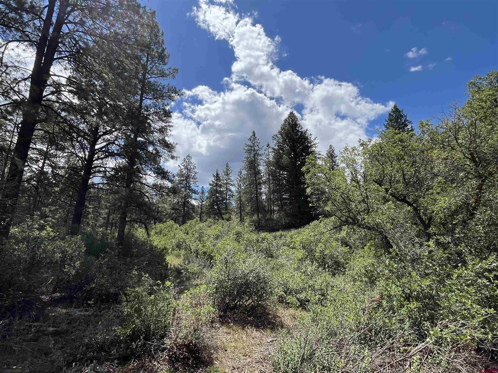501 Echo Lane Pagosa Springs CO 81147