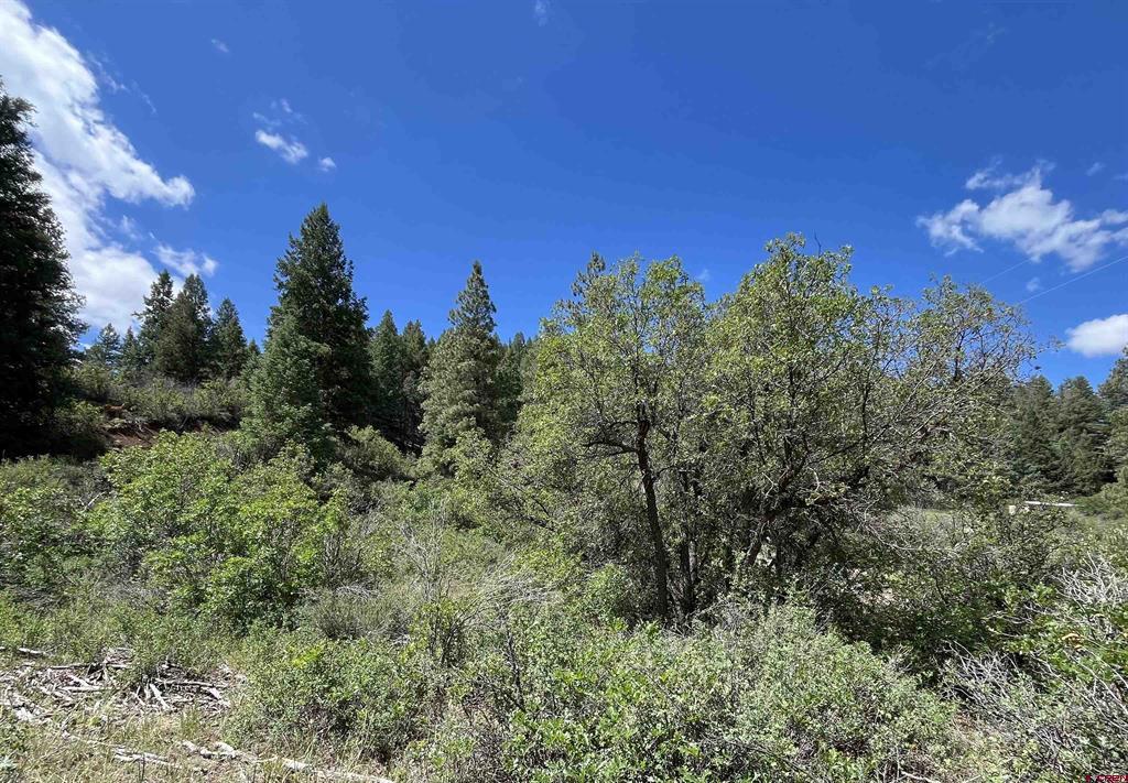 501 Echo Lane Pagosa Springs CO 81147