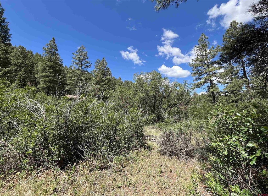 501 Echo Lane Pagosa Springs CO 81147
