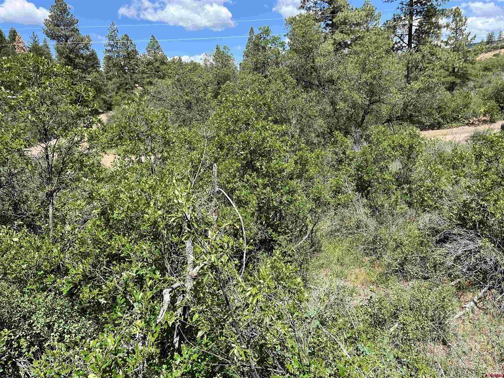 501 Echo Lane Pagosa Springs CO 81147