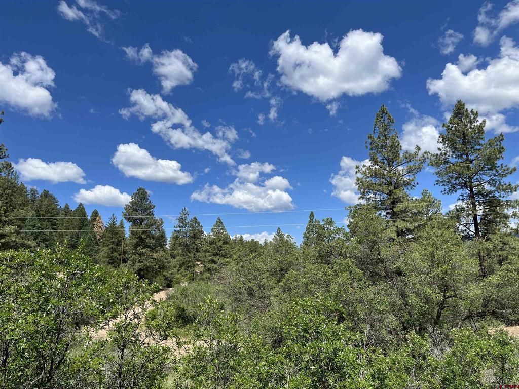 501 Echo Lane Pagosa Springs CO 81147