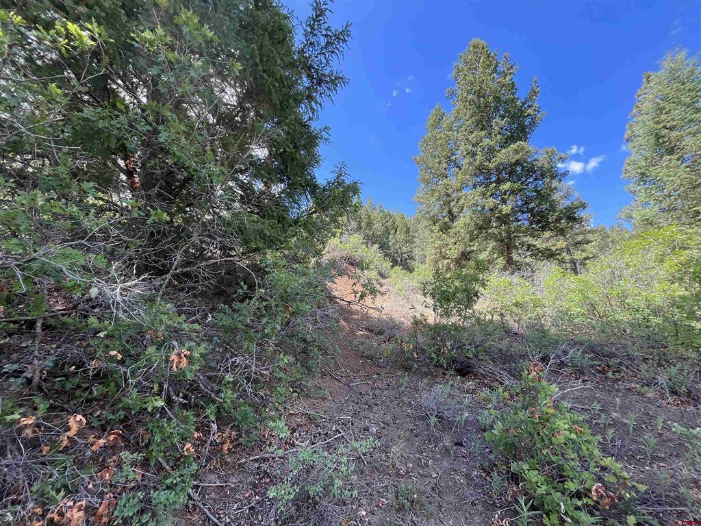 501 Echo Lane Pagosa Springs CO 81147
