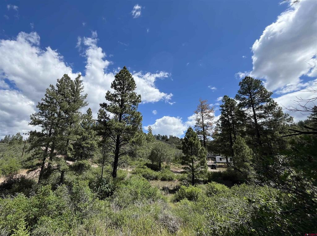 501 Echo Lane Pagosa Springs CO 81147