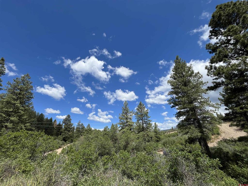 501 Echo Lane Pagosa Springs CO 81147