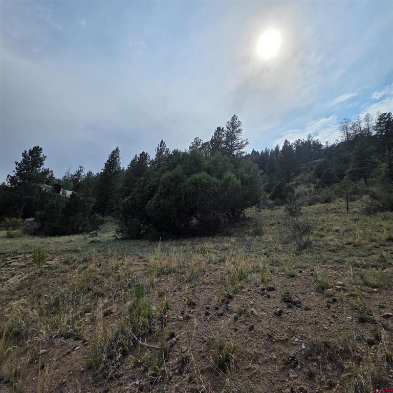 1139 Rio Grande Club Trail South Fork CO 81154