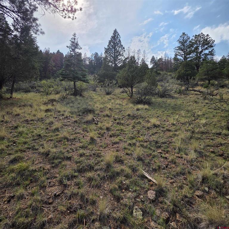 1139 Rio Grande Club Trail South Fork CO 81154