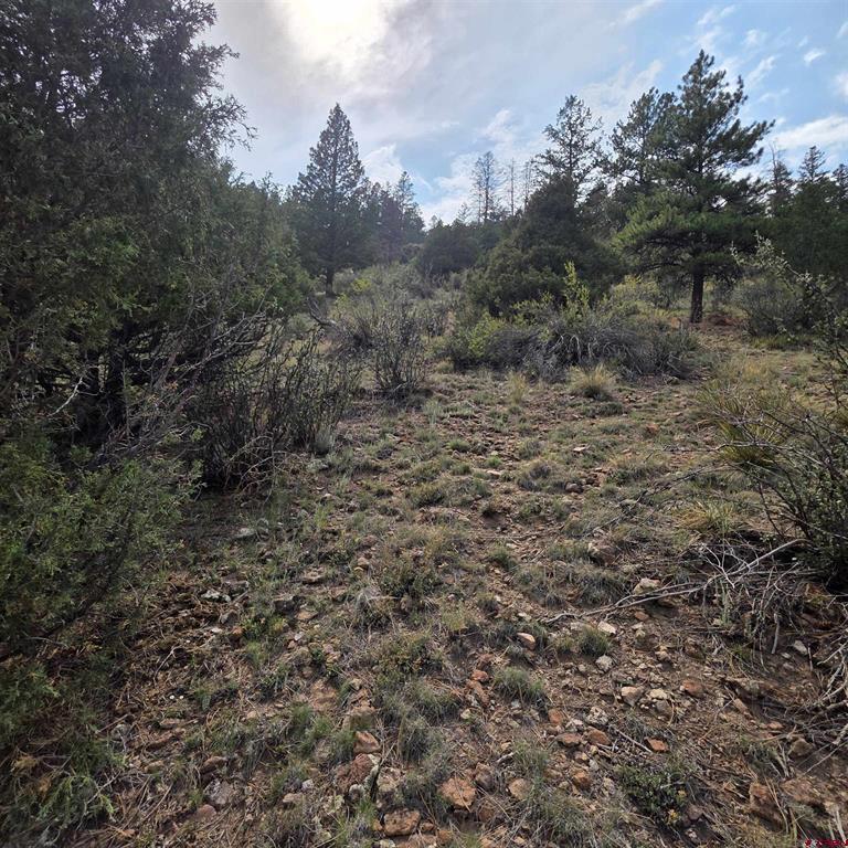 1139 Rio Grande Club Trail South Fork CO 81154