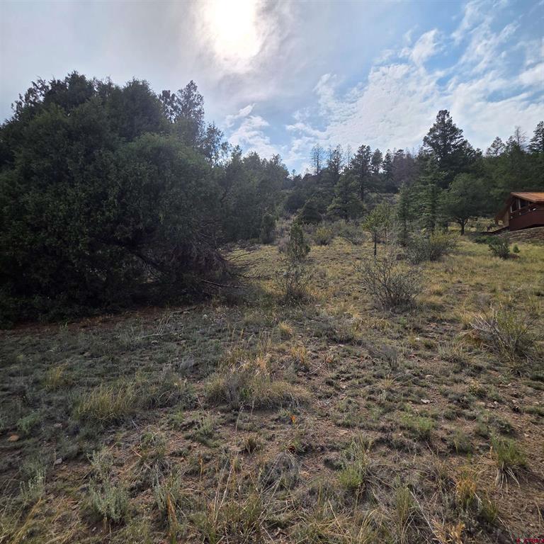 1139 Rio Grande Club Trail South Fork CO 81154