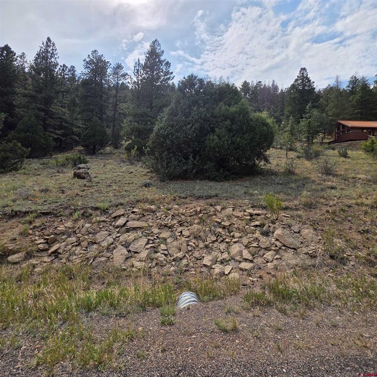 1139 Rio Grande Club Trail South Fork CO 81154