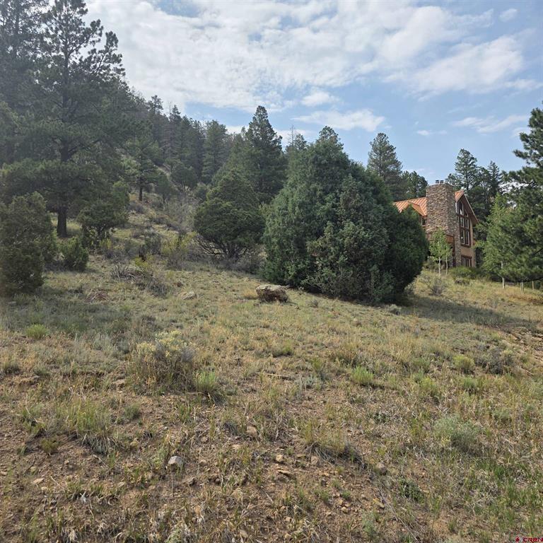 1139 Rio Grande Club Trail South Fork CO 81154