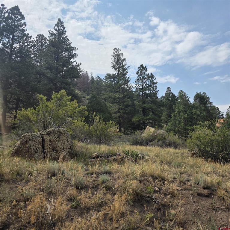 1139 Rio Grande Club Trail South Fork CO 81154