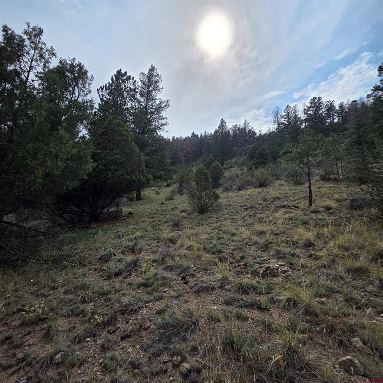 1139 Rio Grande Club Trail South Fork CO 81154