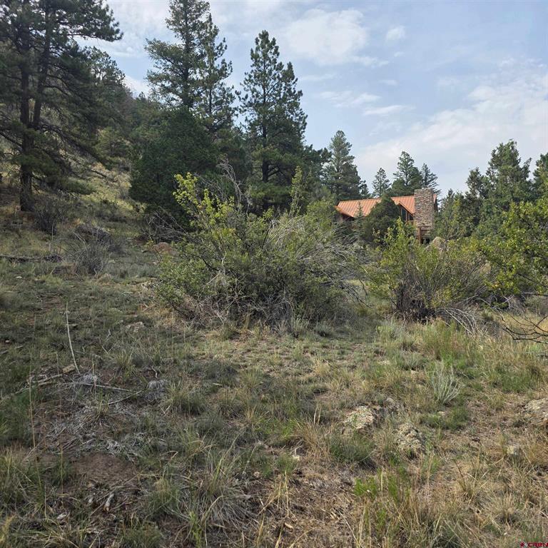 1139 Rio Grande Club Trail South Fork CO 81154