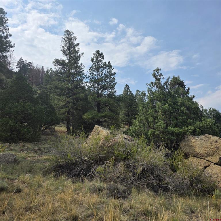 1139 Rio Grande Club Trail South Fork CO 81154