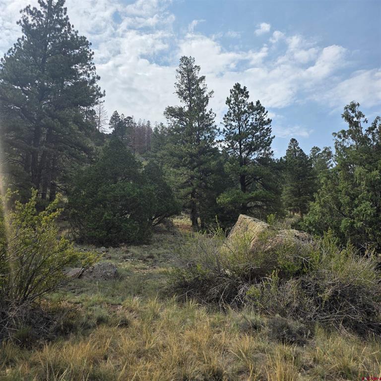 1139 Rio Grande Club Trail South Fork CO 81154