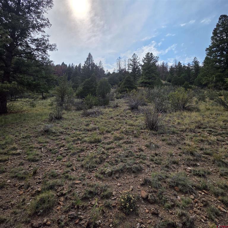 1139 Rio Grande Club Trail South Fork CO 81154