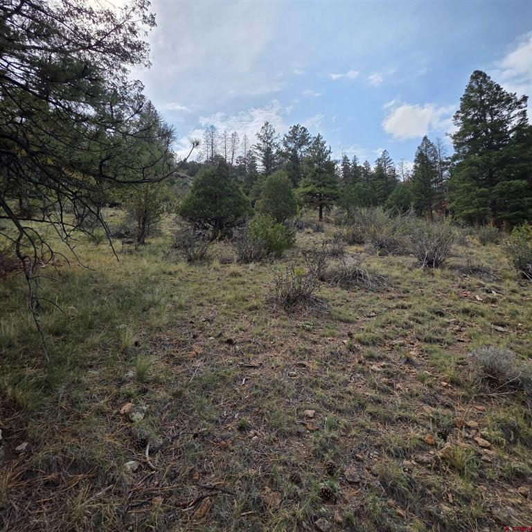 1139 Rio Grande Club Trail South Fork CO 81154