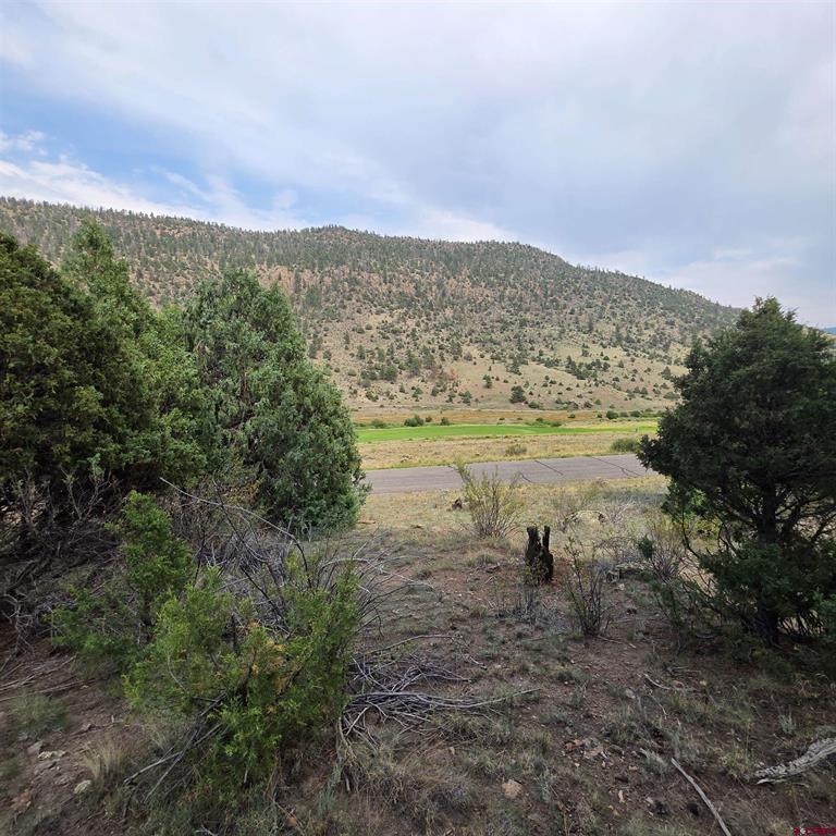 1139 Rio Grande Club Trail South Fork CO 81154
