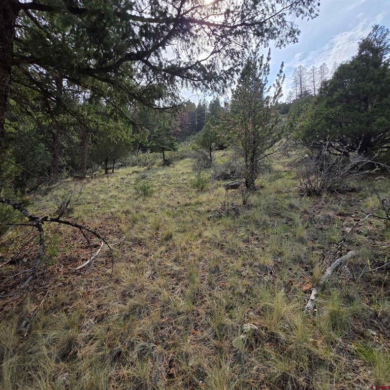 1139 Rio Grande Club Trail South Fork CO 81154