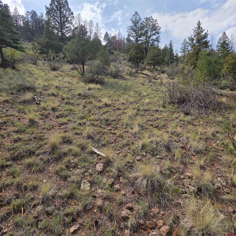 1139 Rio Grande Club Trail South Fork CO 81154