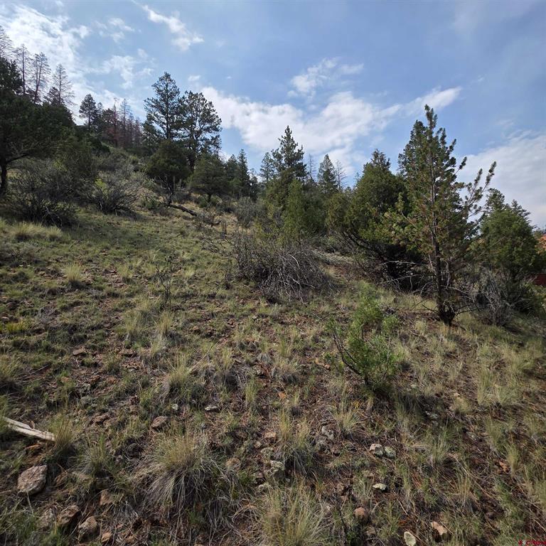 1139 Rio Grande Club Trail South Fork CO 81154